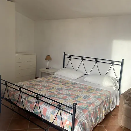 L'ulivo E Il Mare * Moneglia