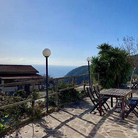 L'ulivo E Il Mare