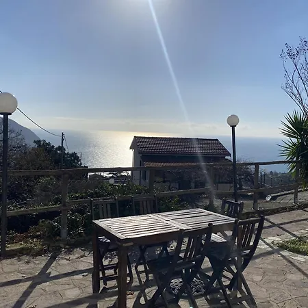 L'ulivo E Il Mare *