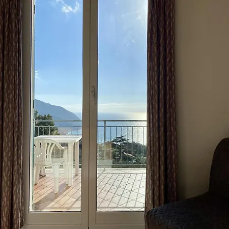 L'ulivo E Il Mare