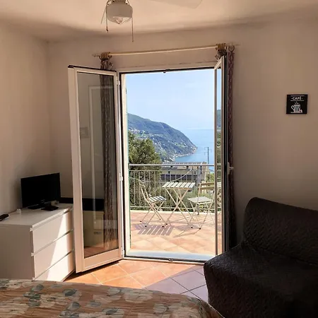 L'ulivo E Il Mare *