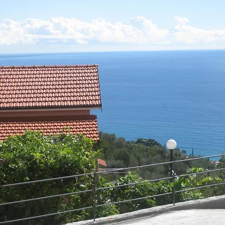 L'ulivo E Il Mare *