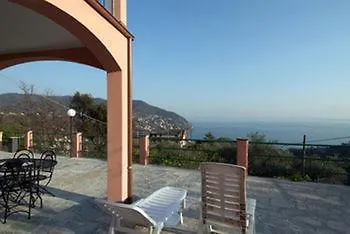 L'ulivo E Il Mare *