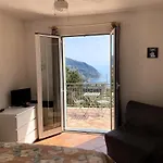 L'ulivo E Il Mare *