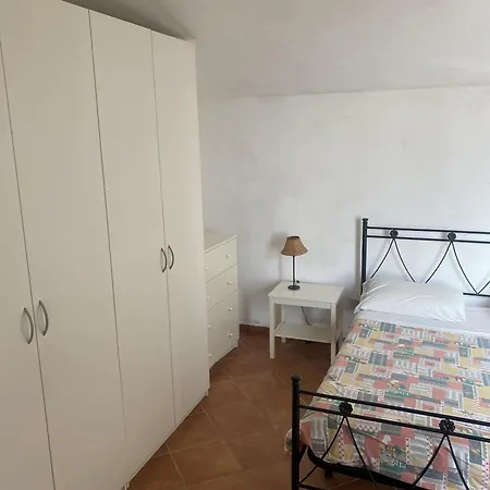 L'ulivo E Il Mare *