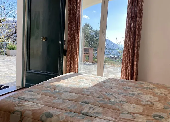 L'ulivo E Il Mare * Moneglia