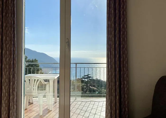 L'ulivo E Il Mare