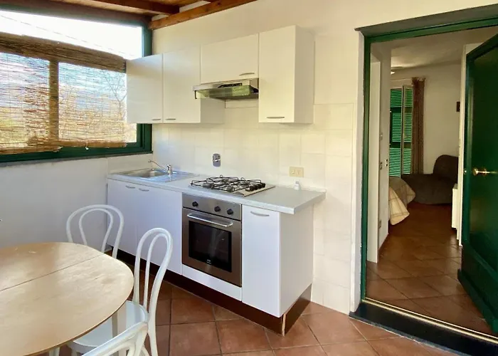 L'ulivo E Il Mare * Moneglia