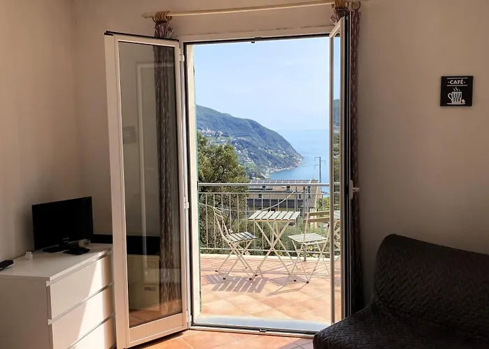 L'ulivo E Il Mare *