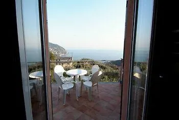 L'ulivo E Il Mare * Moneglia